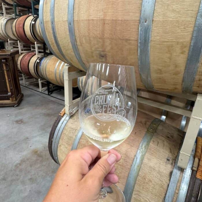 Crush Fest at Yonah Mountain Vineyards