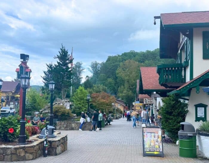  downtown Alpine Helen 