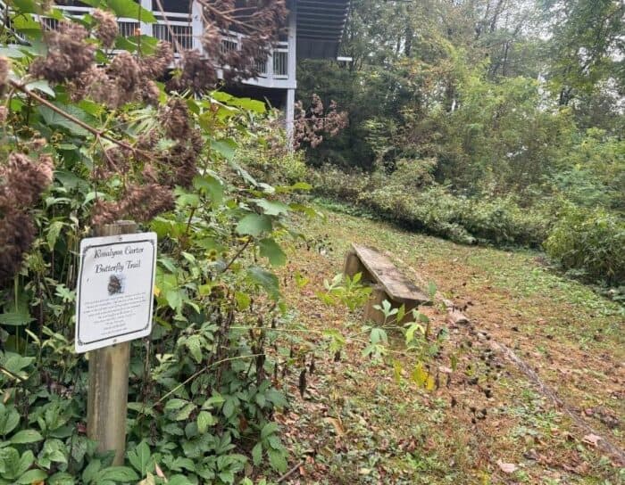 Rosalynn Carter Butterfly Trail at Len Foote Hike Inn