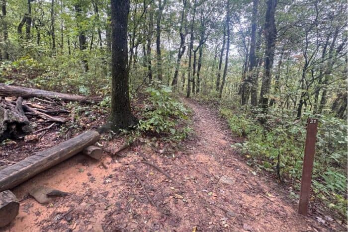 Trail to Len Foote Hike Inn in Georgia