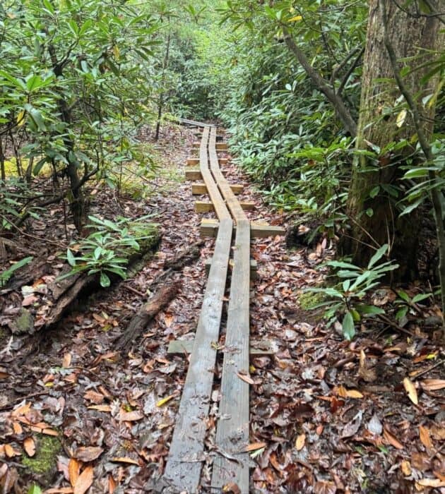 Trail to Len Foote Hike Inn in Georgia
