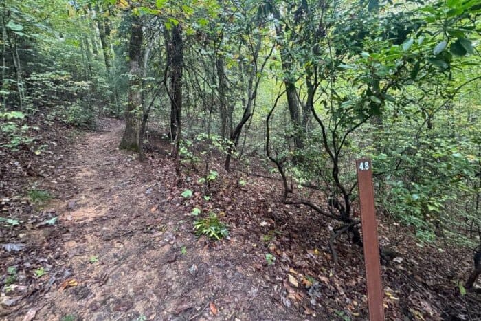 Trail to Len Foote Hike Inn in Georgia