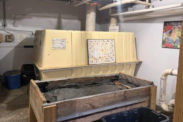 worm bed at the Hike Inn