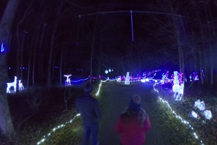 Frozen Forest Trail at Holidays on the Farm Winton Woods