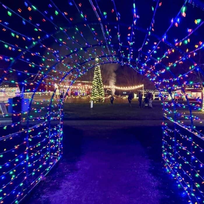 Holidays on the Farm Winton Woods