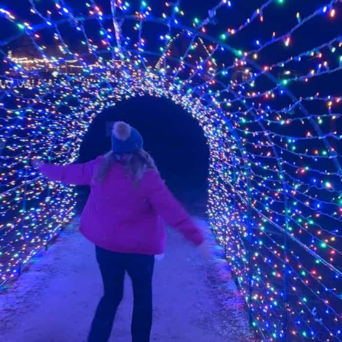 colorful lights at Holidays on the Farm Winton Woods