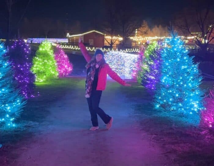 colorful trees at Holidays on the Farm Winton Woods