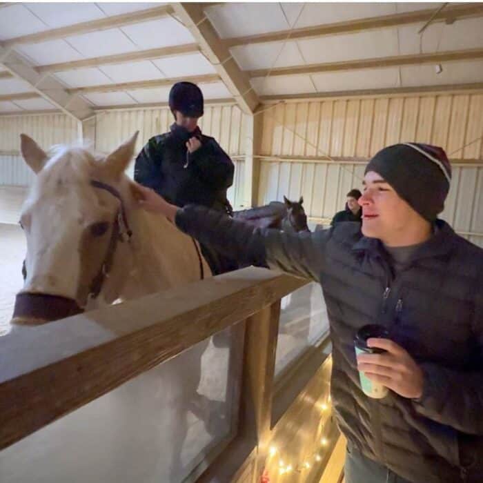 horse at Holidays on the Farm Winton Woods