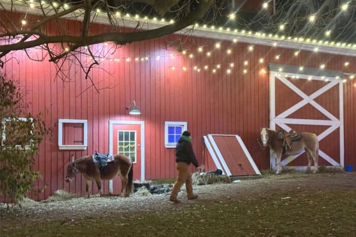 pony rides at Holidays on the Farm Winton Woods