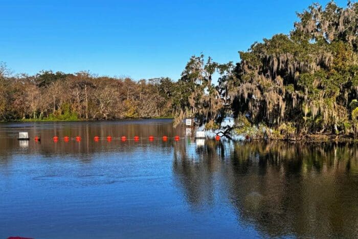 Blue Spring State Park in Florida
