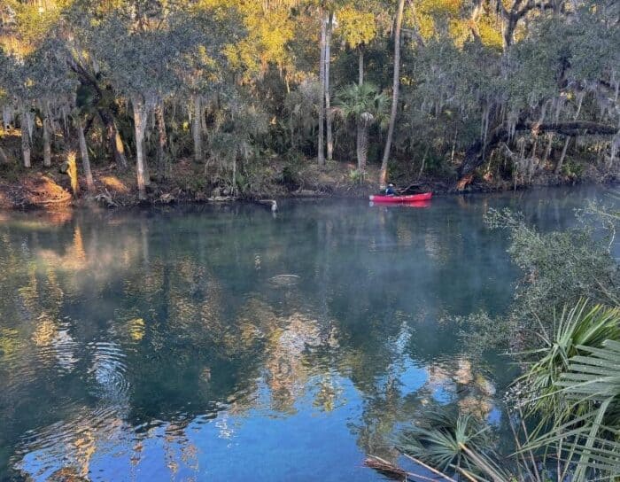 Blue Spring State Park in Florida