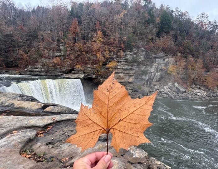 Cumberland Falls in Kentucky