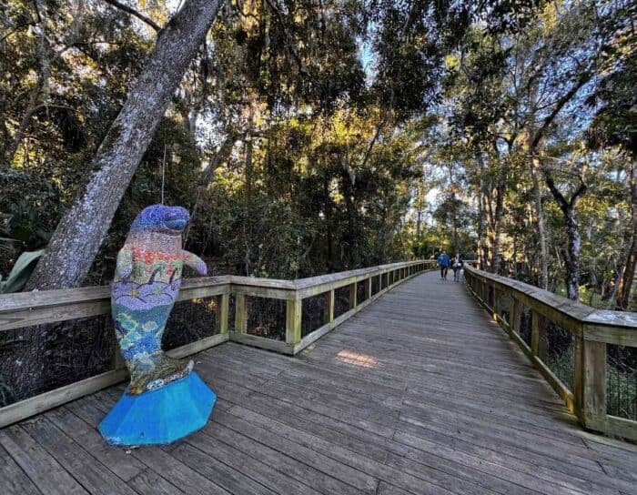 Manatees art at Blue Spring State Park