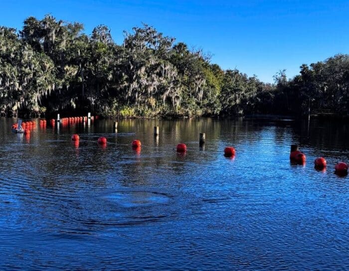 St. Johns River at Blue Spring State Park
