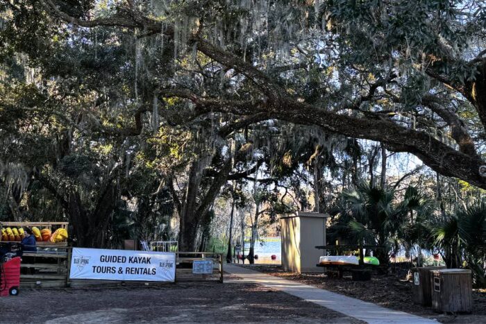 kayak rentals at Blue Spring State Park