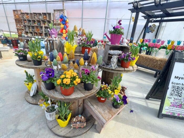 Garden Center at Blooms and Berries