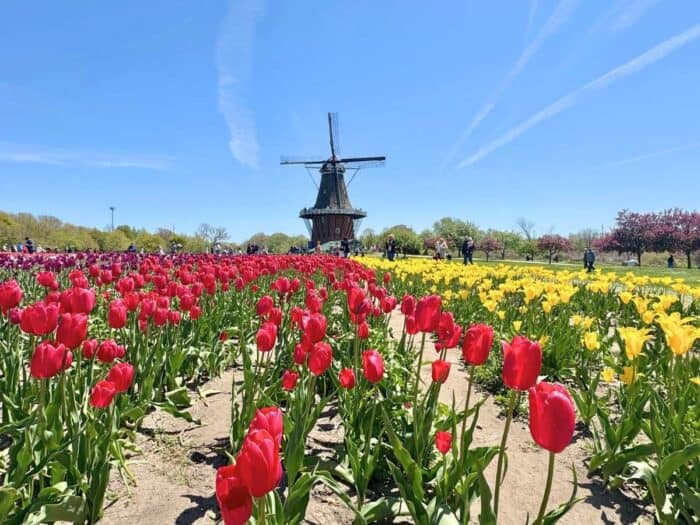 Windmill Island Gardens in Holland, Michigan