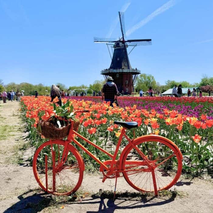 Windmill Island Gardens in Holland, Michigan