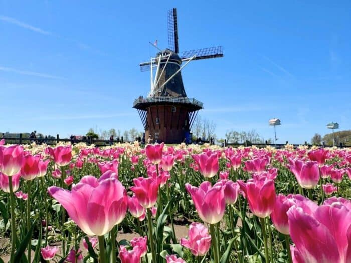 Windmill Island Gardens in Holland, Michigan