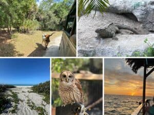 Florida Getaway Itinerary - Punta Gorda & Englewood Beach