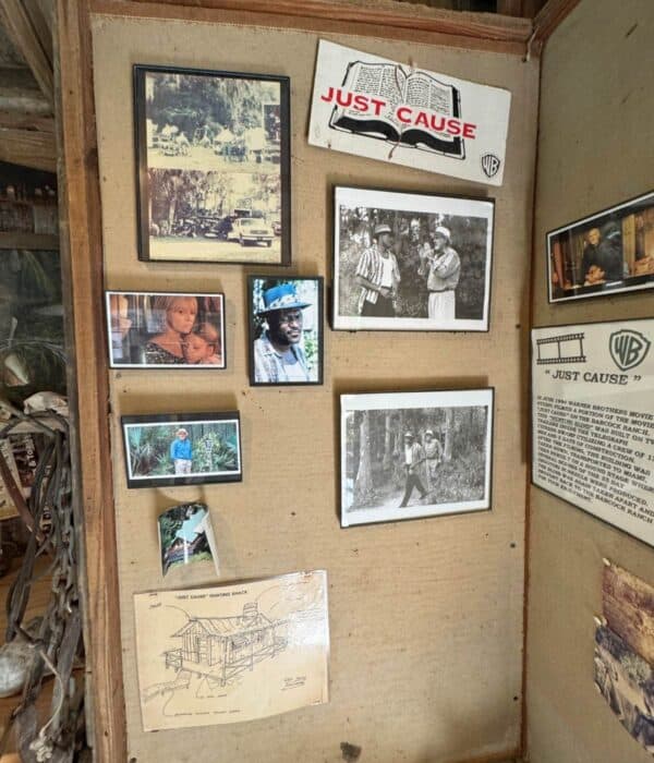 Just Cause exhibit at Babcock Ranch