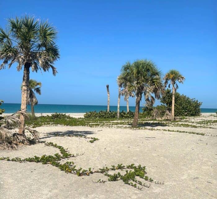 beach at Don Pedro Island State Park