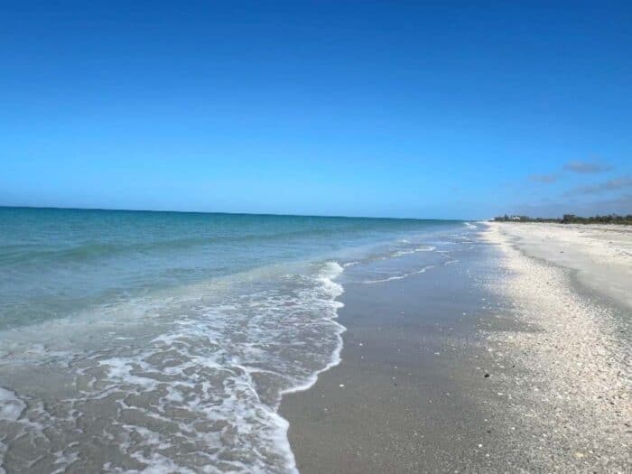 beach at Don Pedro Island State Park