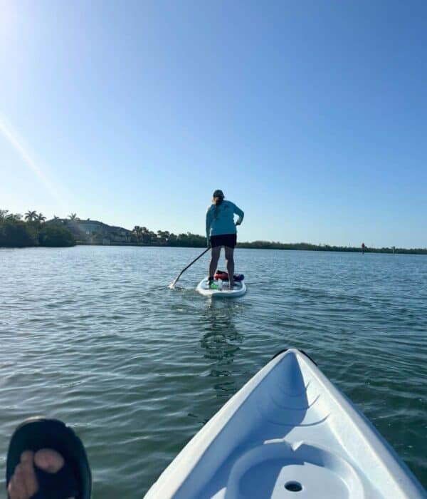 guided kayak tour with SUP Englewood