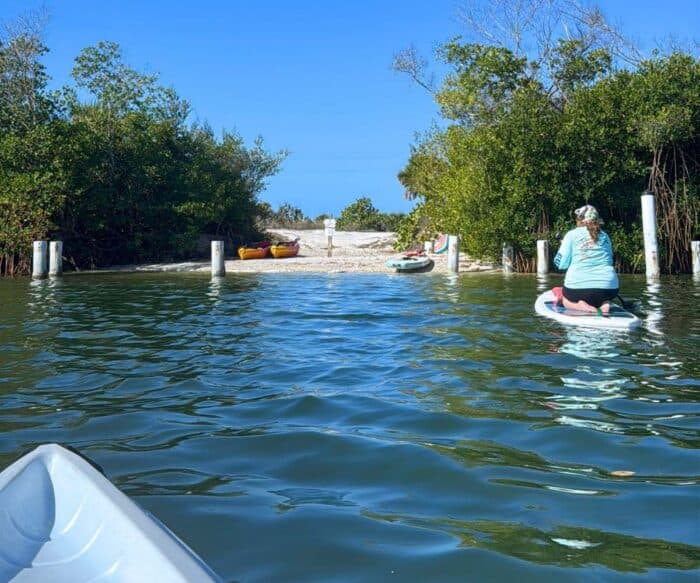 guided kayak tour with SUP Englewood