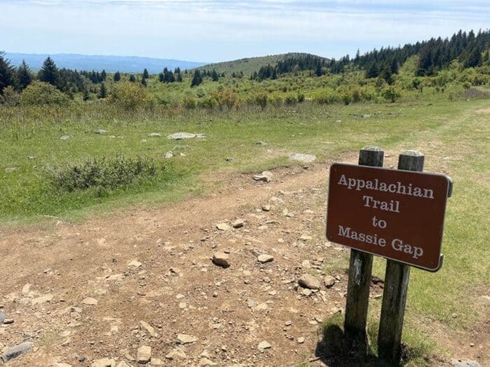 Grayson Highlands State Park in VA
