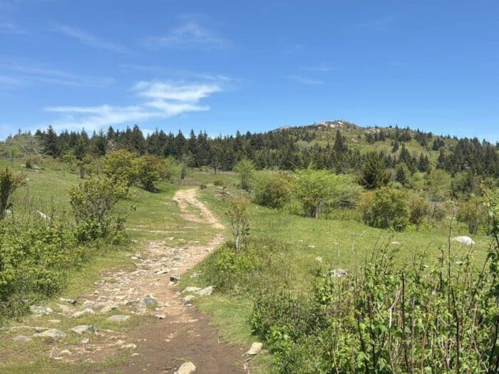 Grayson Highlands State Park in VA