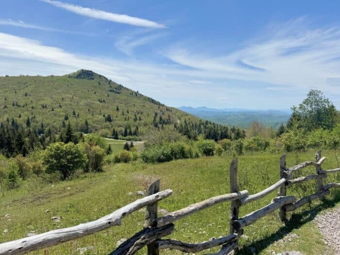 Grayson Highlands State Park in VA