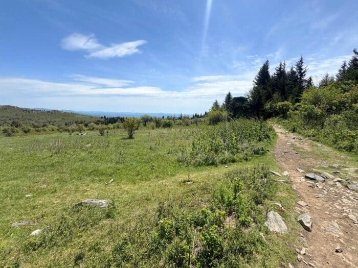 Grayson Highlands State Park in VA
