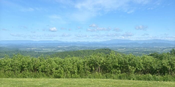 Grayson Highlands State Park in VA