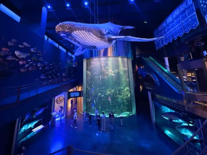 Wonders of Wildlife National Aquarium Springfield MO
