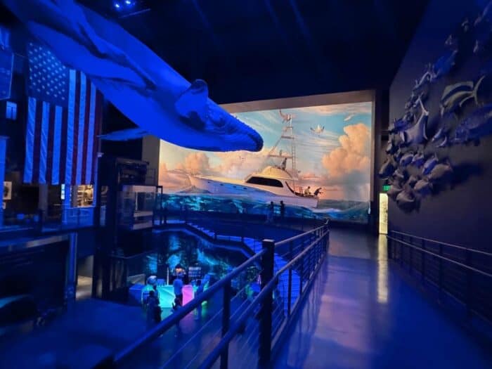 Wonders of Wildlife National Aquarium Springfield MO