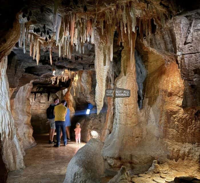 cave replica Wonders of Wildlife National Museum and Aquarium Springfield MO