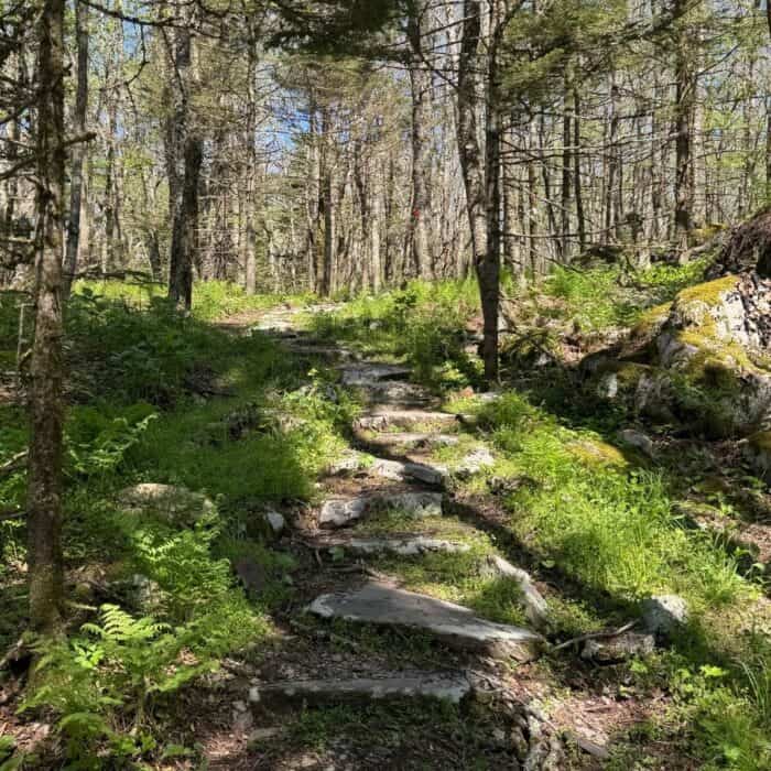 hike to Pinnacles Overlook at Grayson Highlands State Park in VA