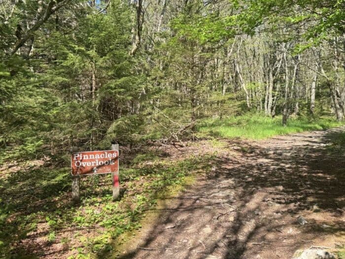 hike to Pinnacles Overlook at Grayson Highlands State Park in VA