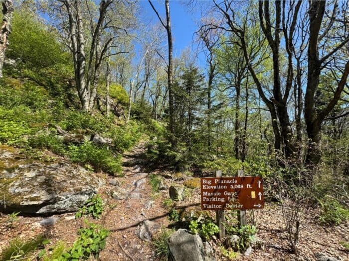 trail sign for Big Pinnacle at Grayson Highlands State Park in VA