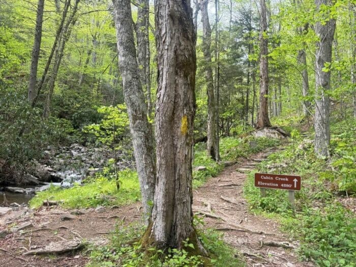waterfall Grayson Highlands State Park in VA