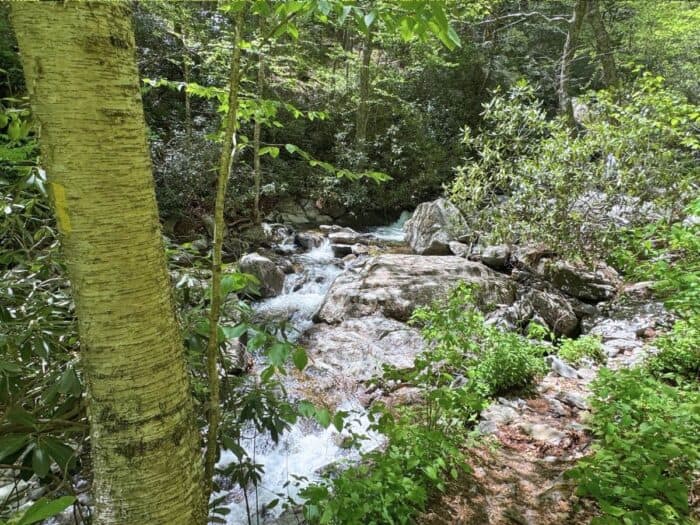 waterfall Grayson Highlands State Park in VA