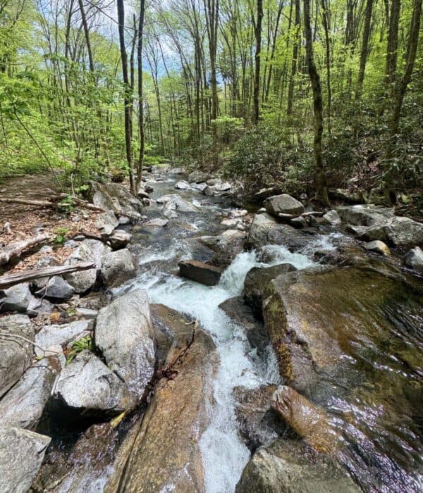 waterfall Grayson Highlands State Park in VA