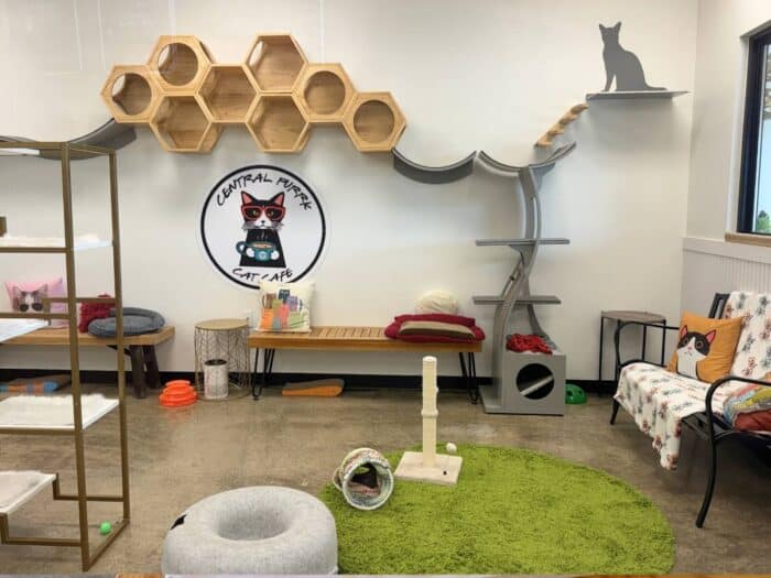 Central Purrk Cat Cafe Georgetown KY