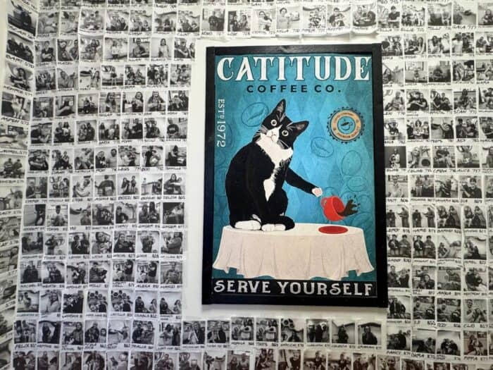 Central Purrk Cat Cafe Georgetown KY