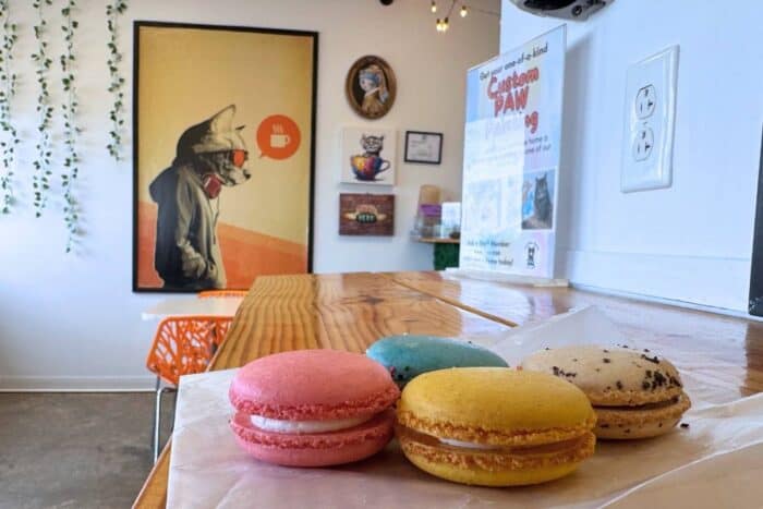 Central Purrk Cat Cafe Georgetown KY