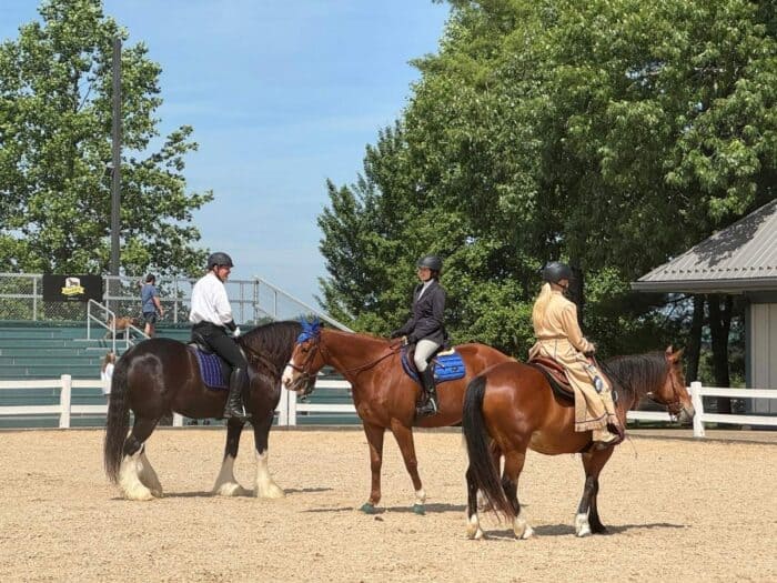 Kentucky Horse Park in Georgetown KY
