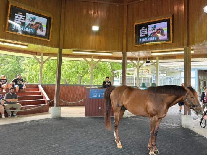 Kentucky Horse Park in Georgetown KY