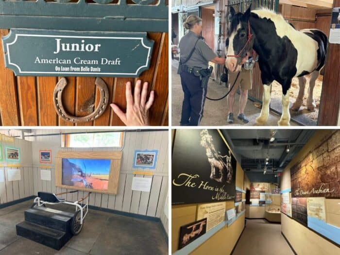 Kentucky Horse Park in Georgetown KY
