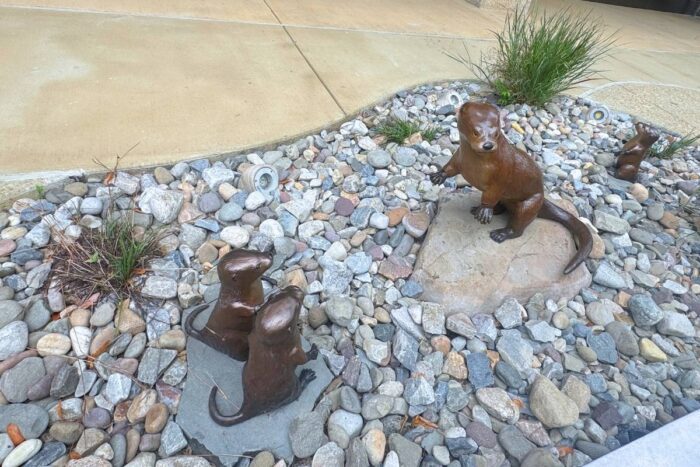 the "Otter-ly Amazing" project Fredericksburg VA